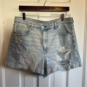 American Eagle Outfitters Light Blue Distressed Jean Shorts